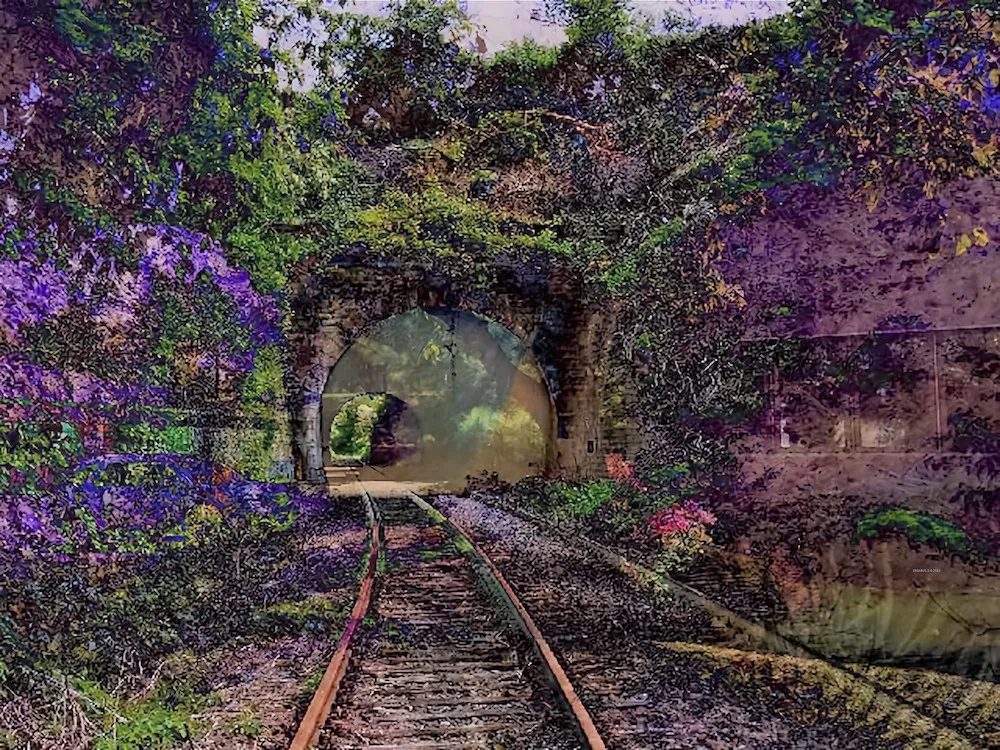 a_recent_entrance_to_paradise_image